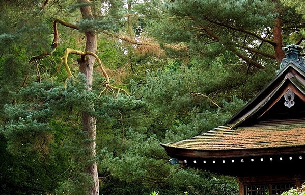 粉象生活邀请码