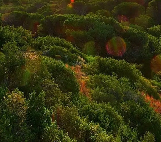 粉象生活邀请码