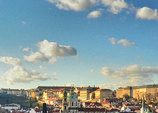 粉象生活天天乐截图