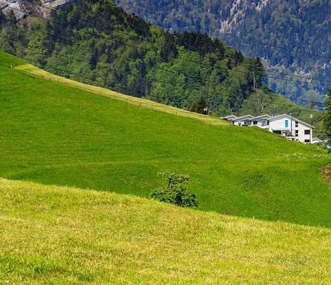 粉象生活和花花日记哪个好用