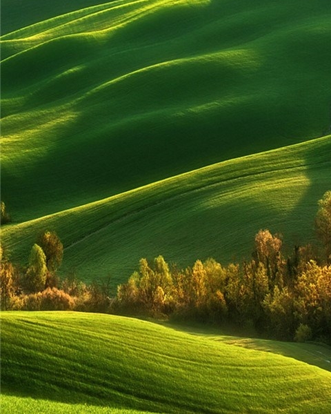 淘粉生活今日积分价格