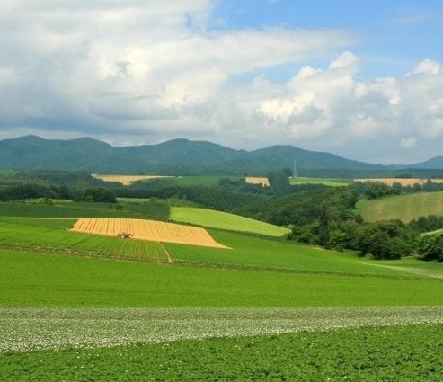 粉象生活新手怎么做