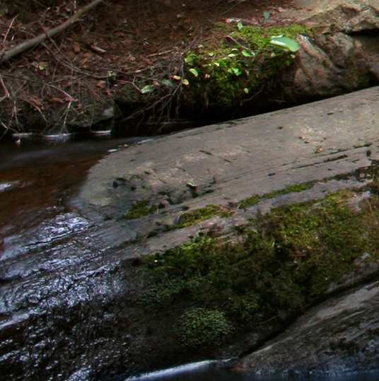粉象生活到底能不能做