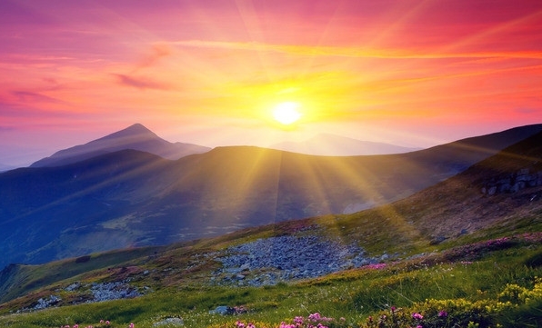 粉象生活怎么加盟赚钱