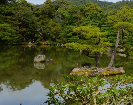 淘宝粉象生活佣金