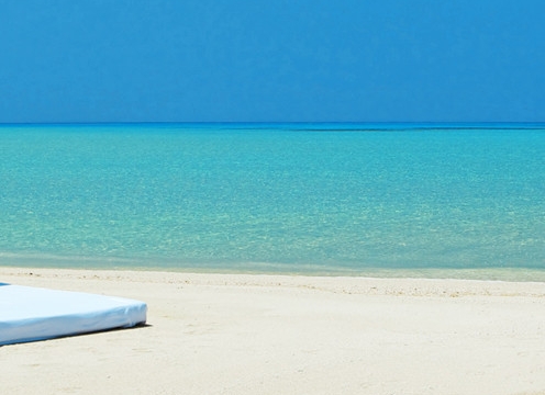 粉象生活未来5年的发展