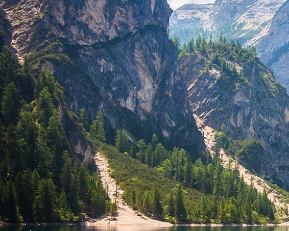 浙江粉象生活吧