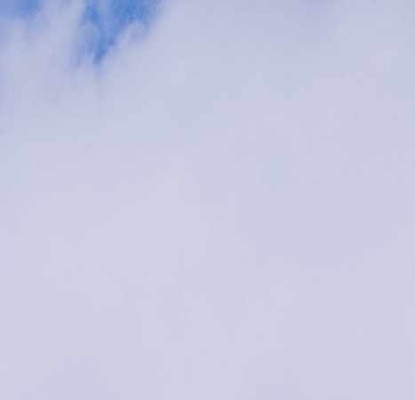 粉象生活怎么赚钱