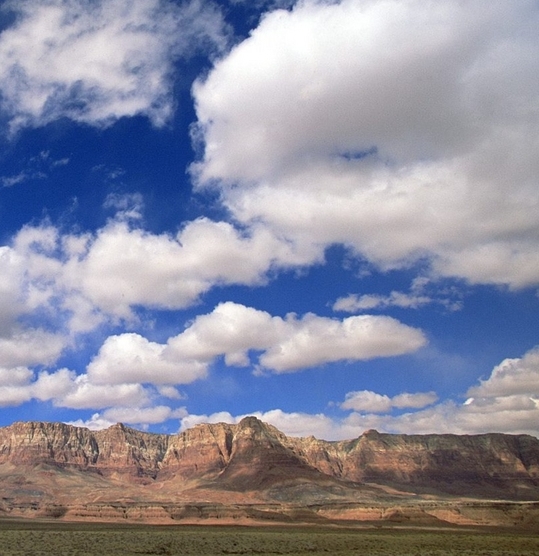 粉象生活下载app