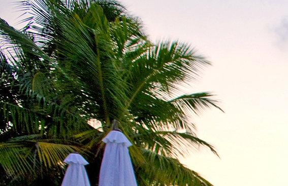 粉象生活收费吗