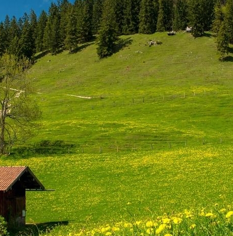 粉象生活赚钱教程