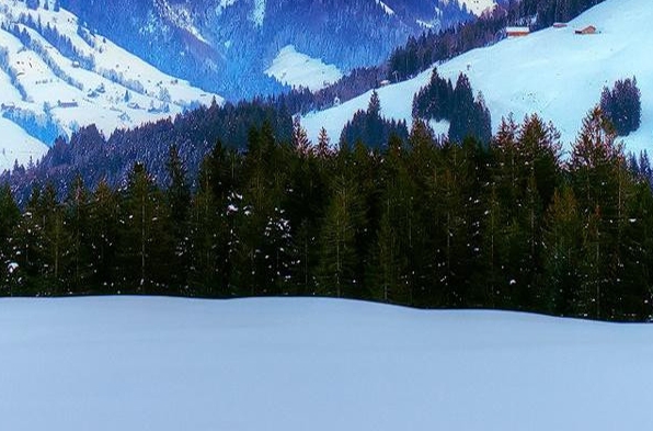 粉象生活的页面动效