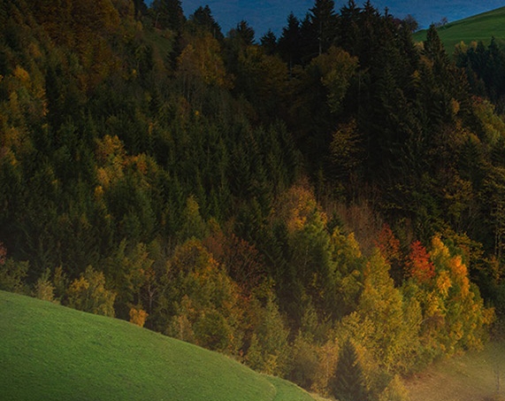 粉象生活有会员怎么退