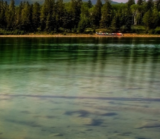 粉象为何显示可提现0