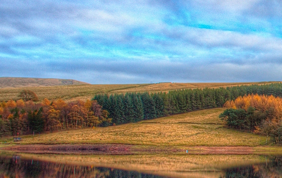 粉象生活如何提高排名
