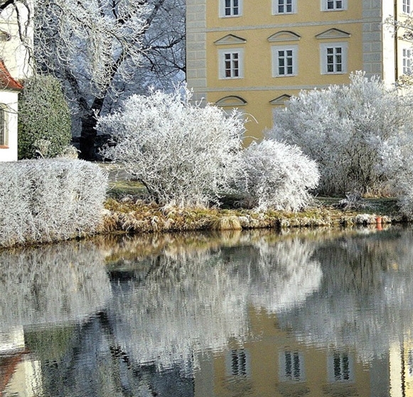 粉象生活里的现金怎么用