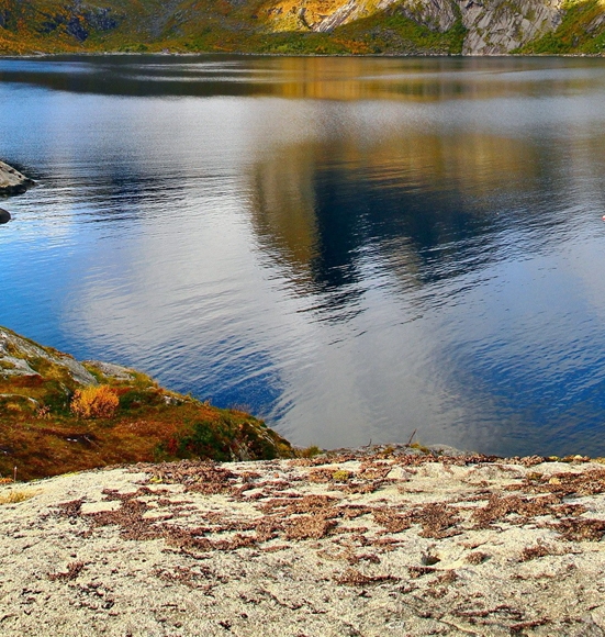象往的生活南京