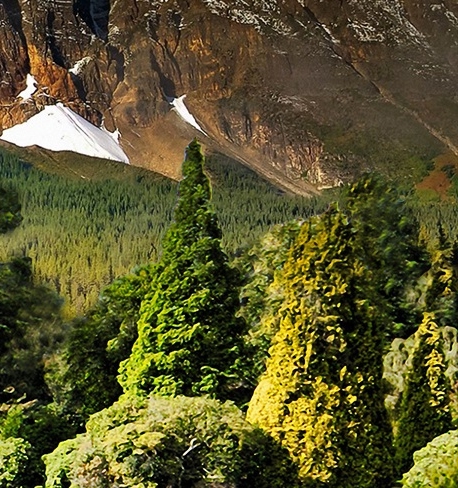 中山粉象生活怎么样