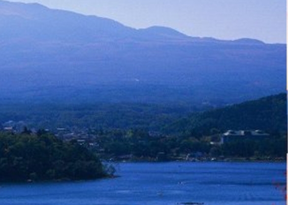 粉象生活赚钱教程