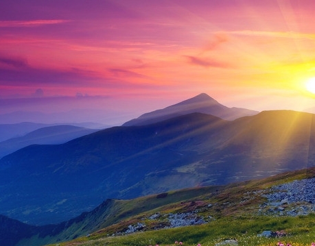 粉象生活的营销