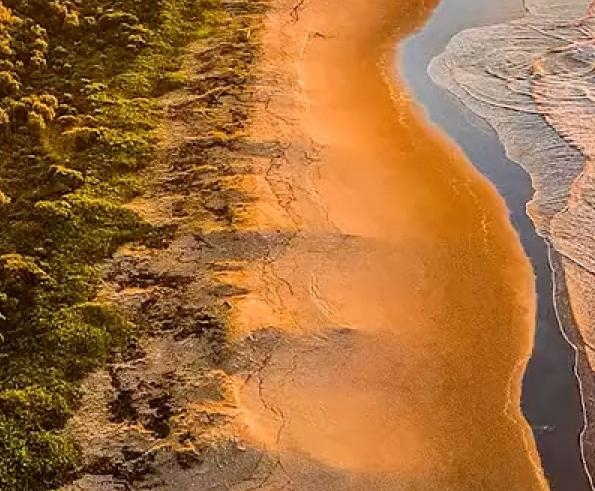 粉象生活新手怎么做