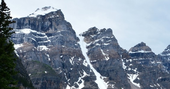 张家界粉象生活app