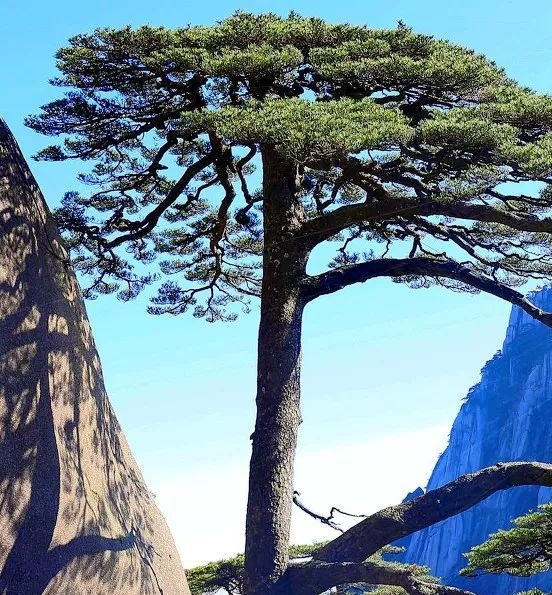 粉象生活入驻注册邀请码