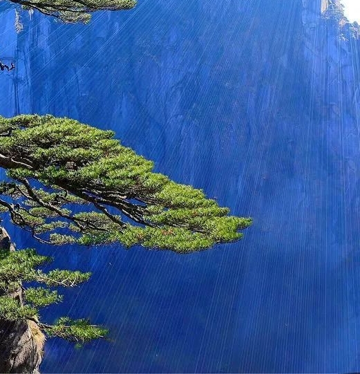 粉象生活这个软件怎么样