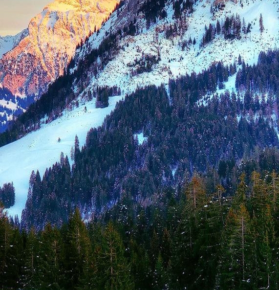 香蜜闺秀加盟好不好