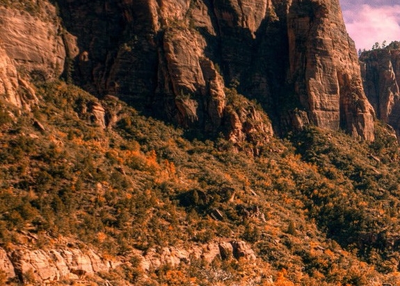 粉象生活邀请码