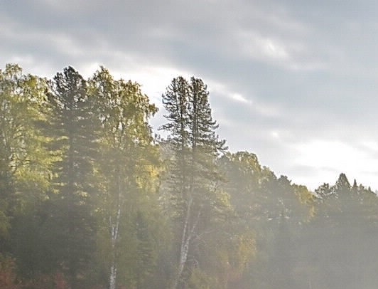 粉象生活是真的吗