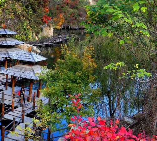 粉象生活是什么样的平台