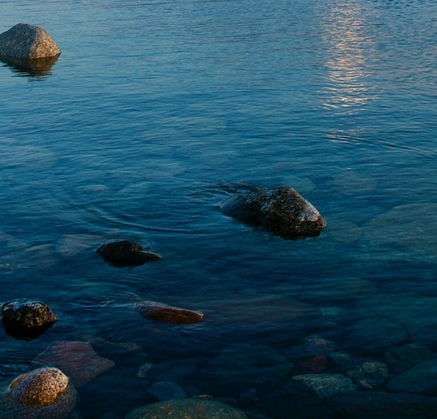 阿里巴巴本地生活副总裁
