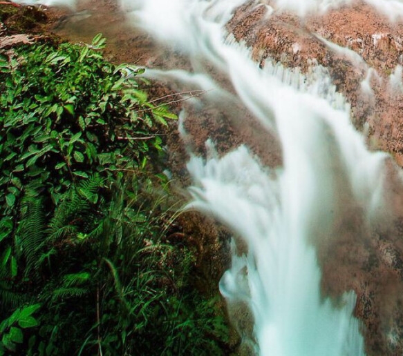 粉象生活日推广50人