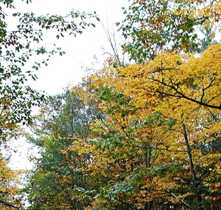 惠生活怎么开店