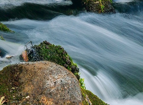 李红星是不是粉象的法人