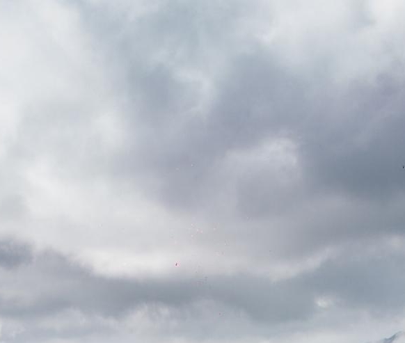 粉象生活做兼职