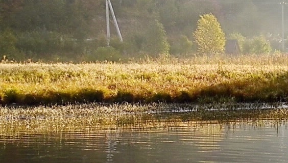 粉象生活可以赚钱吗