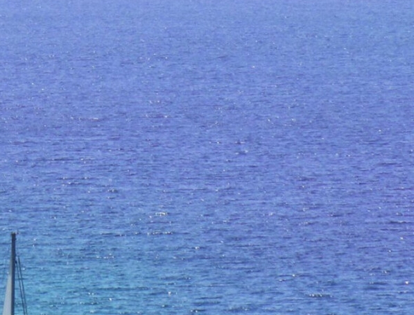 粉象生活最新消息