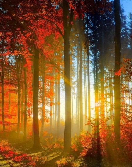 粉象生活怎么推广引流加粉丝