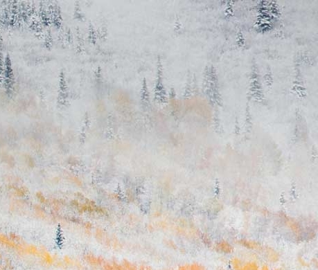 粉象生活项目推荐