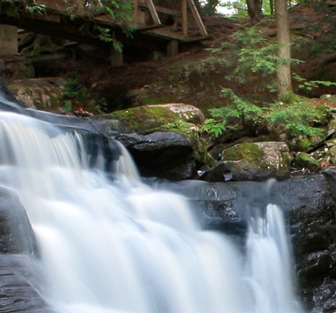 粉象生活商标图