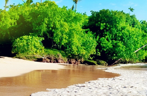 粉象生活名片图片