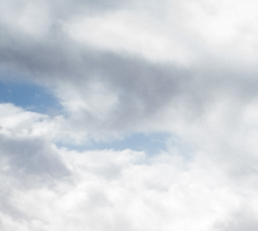 粉象生活淘宝入口