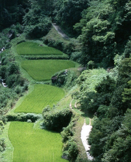 咋样才能加入粉象生活