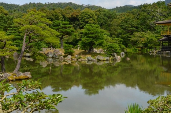 粉象生活邀请码填谁的,谁就可以赚钱吗