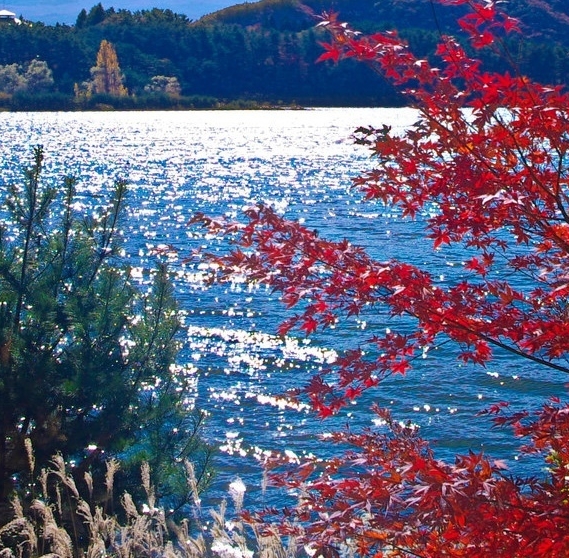 锅圈食汇加盟怎么样