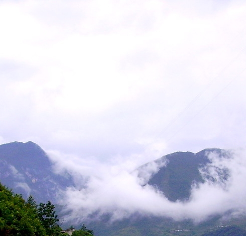 粉象生活能省钱么