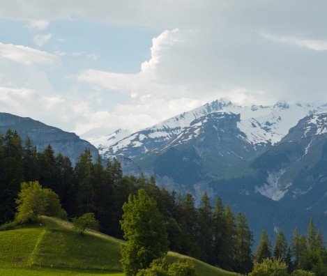 金昌粉象生活app