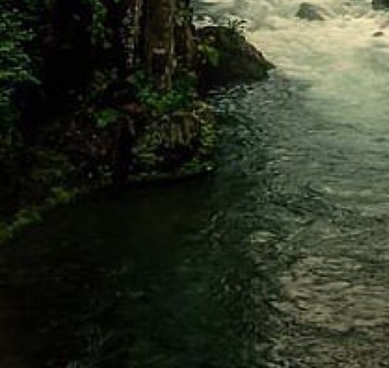 福建粉象生活图片